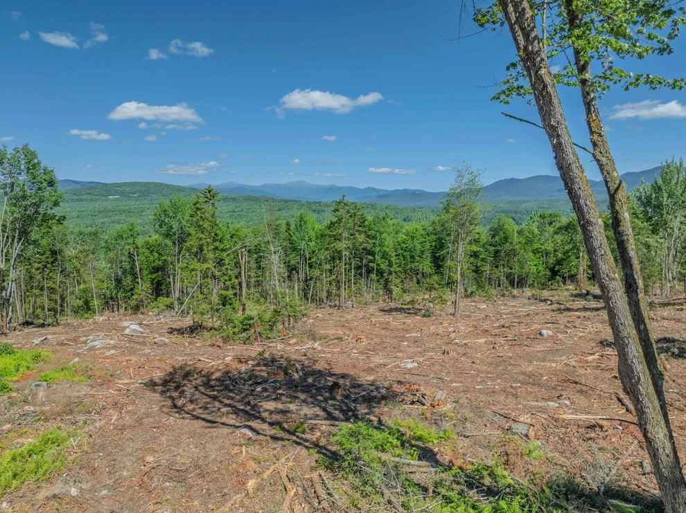 Unit for sale at 000 Ridge, Bethlehem, NH 03574