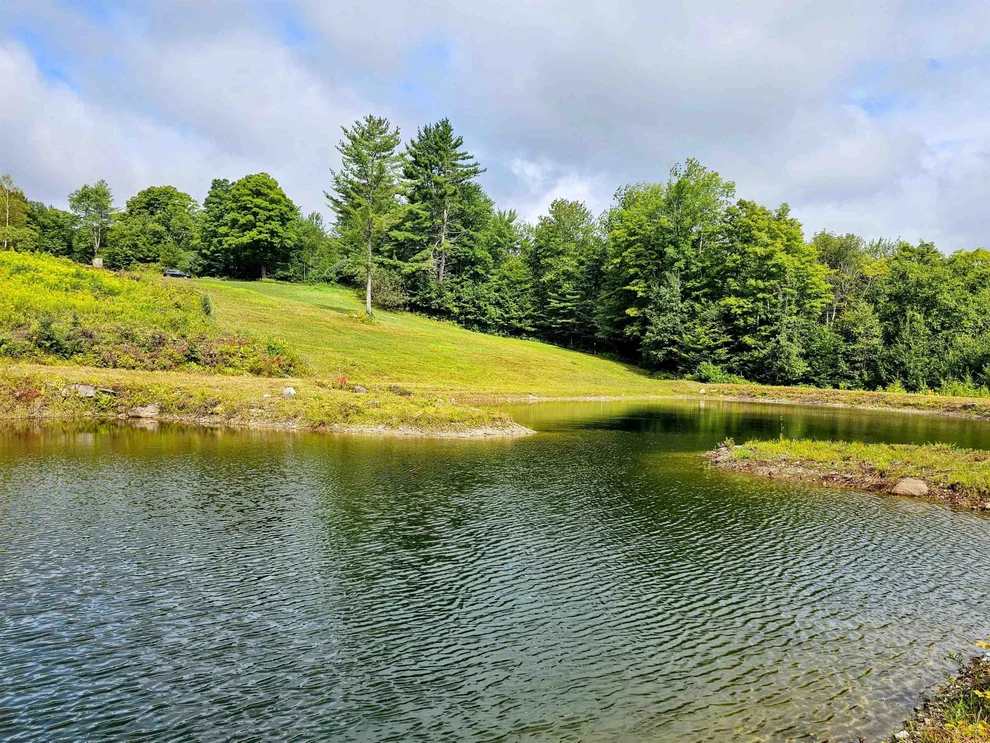 Unit for sale at 00 West Hill Road South, Jamaica, VT 05343