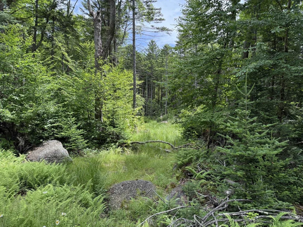 Unit for sale at 14-74 Grant, Washington, NH 03280