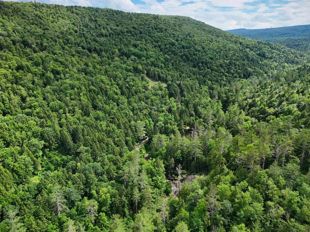Unit for sale at 0 Hunter Brook, Newfane, VT 05351