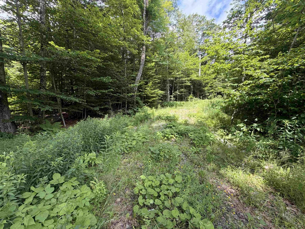 Unit for sale at 0 Route 100, Dover, VT 05356