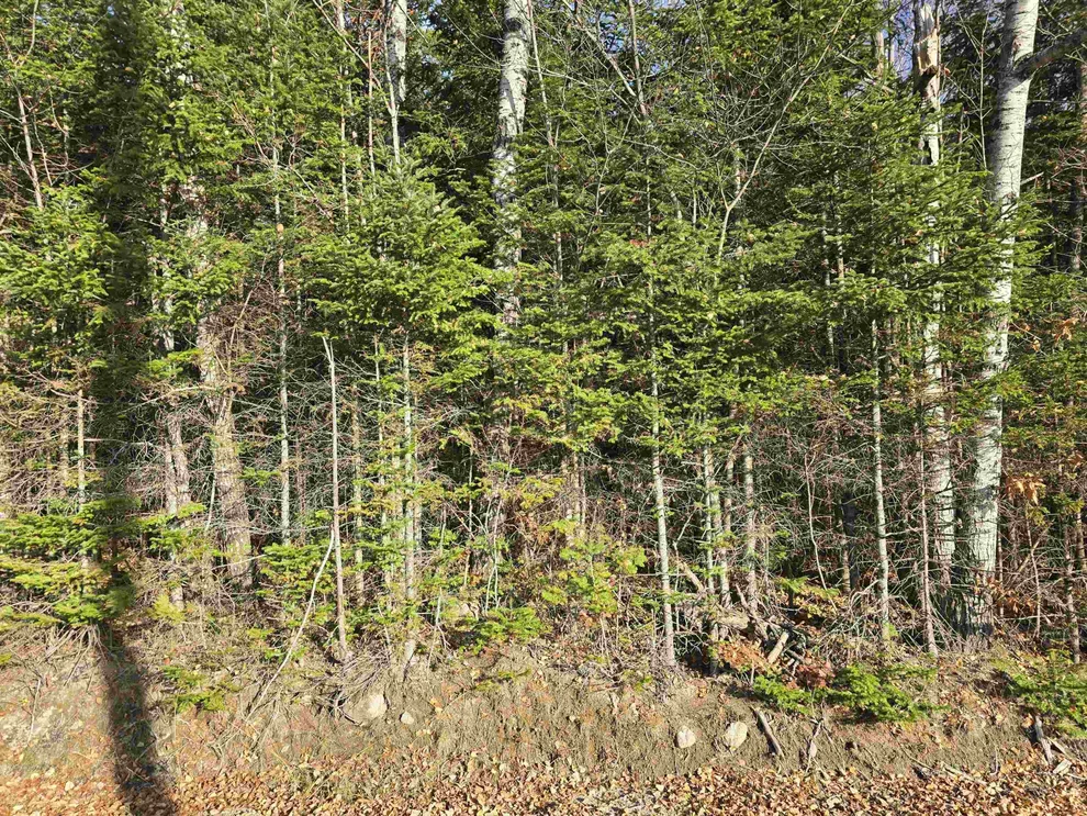 Unit for sale at Hawkins, Dummer, NH 03588
