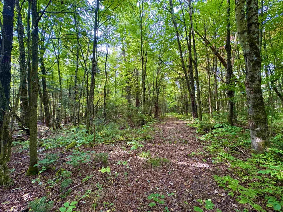 Unit for sale at 0 Partridge Hollow, Jay, VT 05859