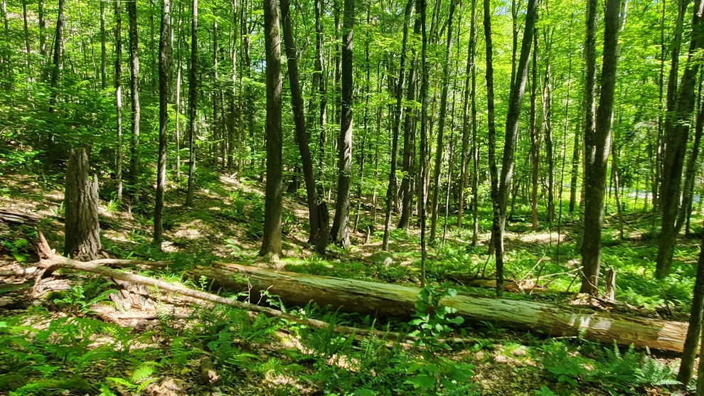 Unit for sale at 0 union village, Norwich, VT 05055
