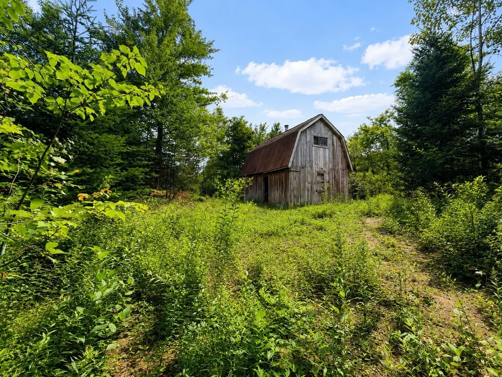 Unit for sale at 2900 Old Duck Pond, Sheffield, VT 05866