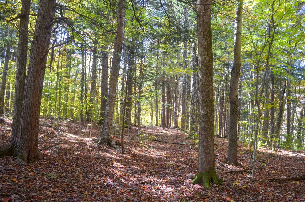 Unit for sale at 0 Burdock, Ludlow, VT 05149