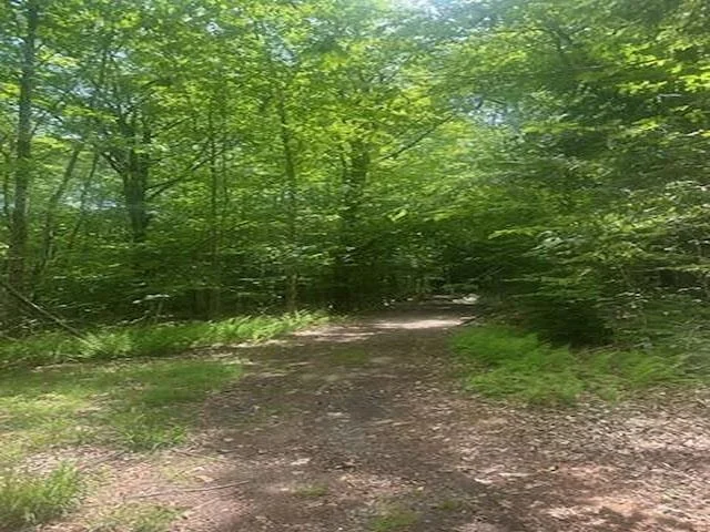 Unit for sale at 115 Deer Path, Bridgewater, NH 03222