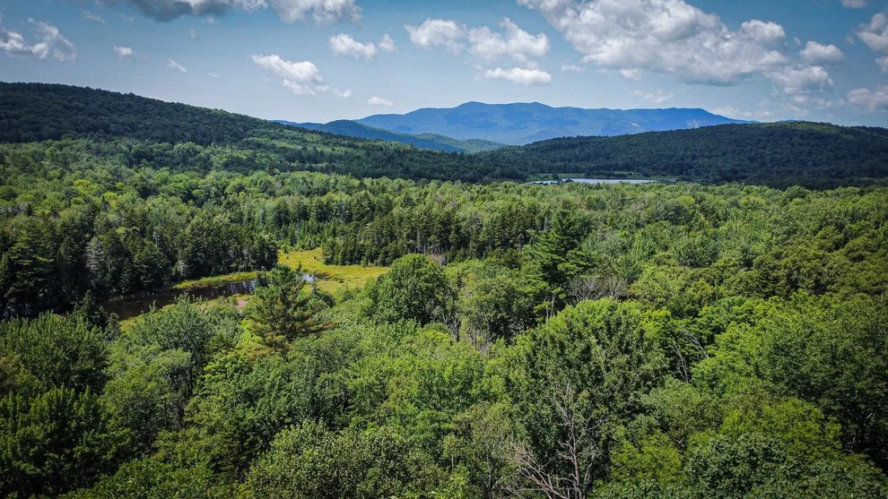 Unit for sale at 00-2 Prickly Mountain, Warren, VT 05674