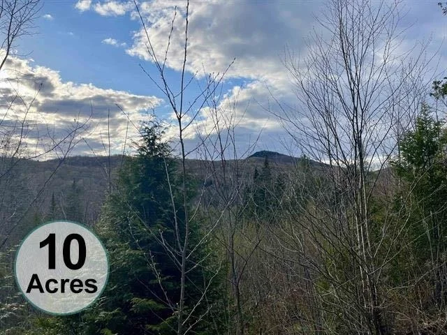 Unit for sale at 00 Lost Nation, East Haven, VT 05837