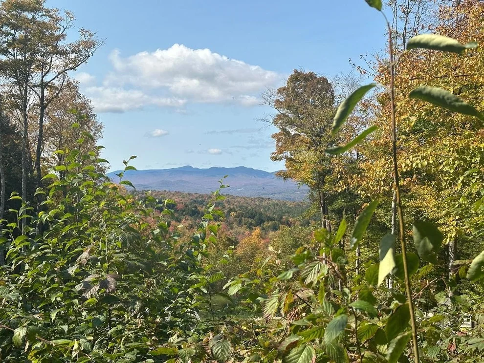 Unit for sale at 0 Brookview, Wolcott, VT 05680