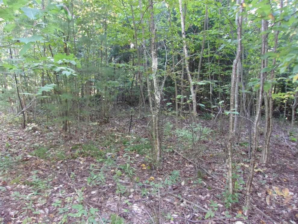 Unit for sale at Fenn Way, Bath, NH 03740