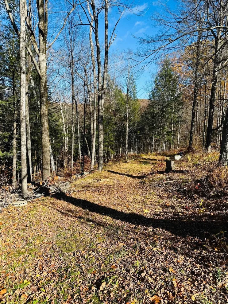 Unit for sale at 0 Cooke, Brattleboro, VT 05301