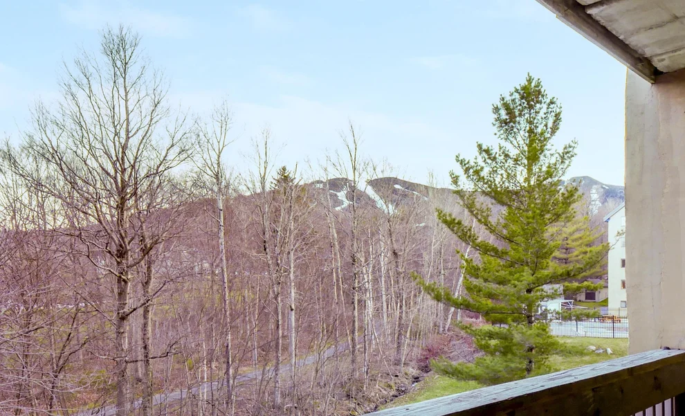 Unit for sale at 137 East Mountain, Killington, VT 05751