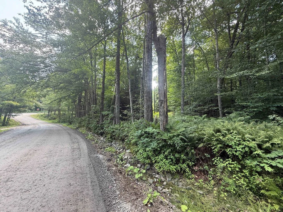 Unit for sale at Penny, Stratton, VT 05155
