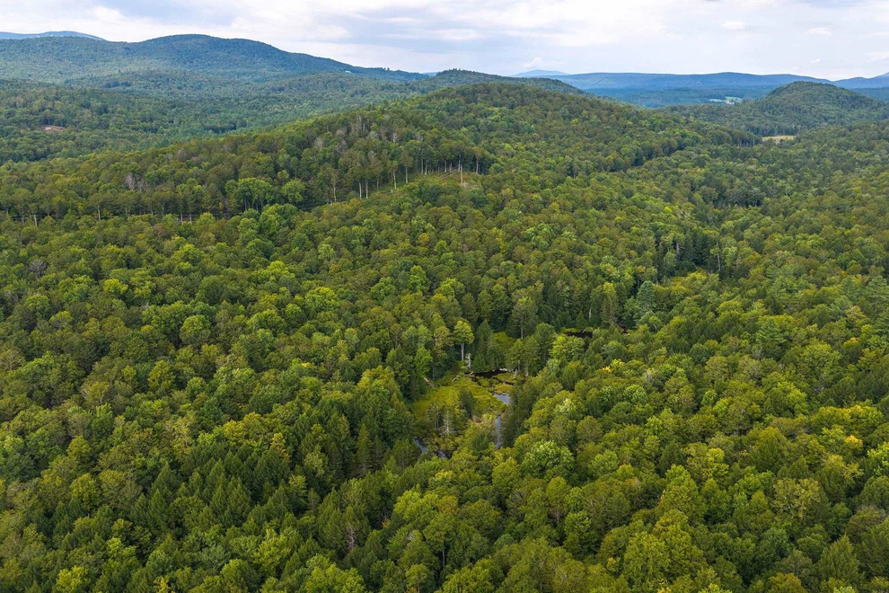 Unit for sale at 00 Pratt Bridge, Jamaica, VT 05143