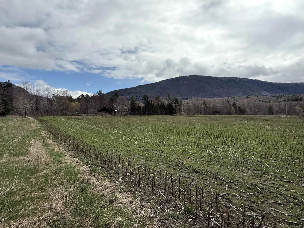 Unit for sale at TBD Hewitt, Bristol, VT 05443