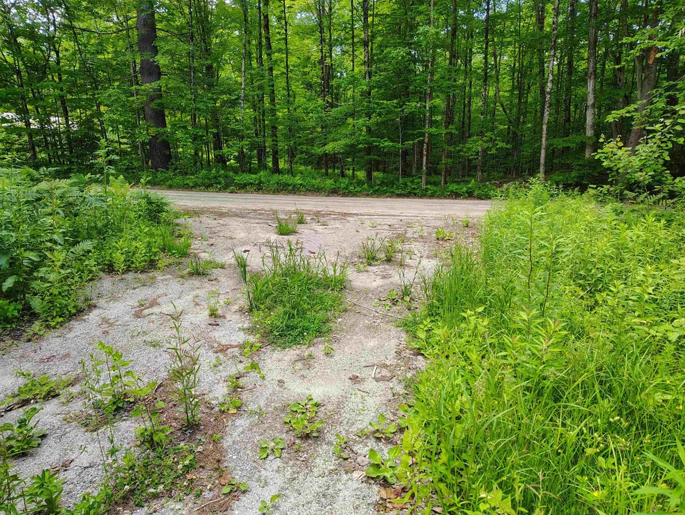 Unit for sale at 12 Frescoln, Wentworth, NH 03282