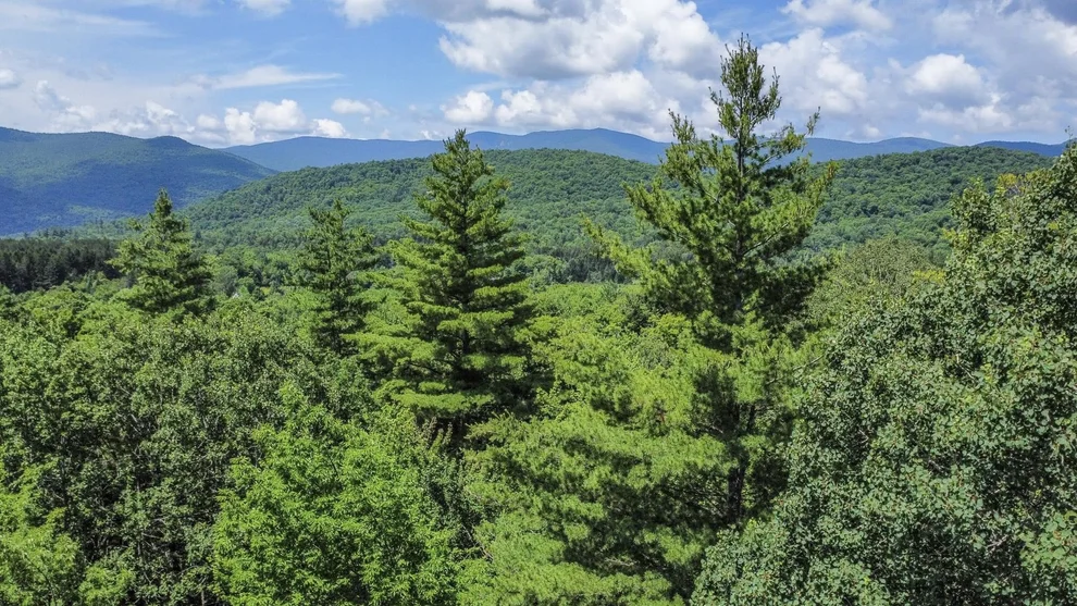 Unit for sale at 2800 North Hollow, Granville, VT 05747