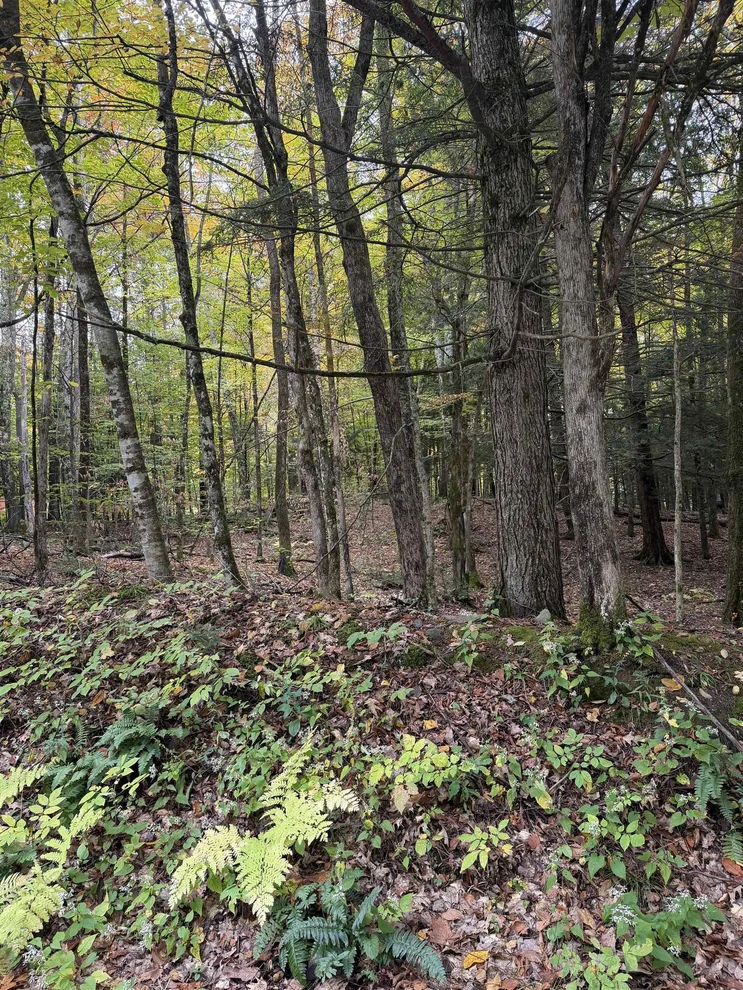Unit for sale at 0 Baker Turn, Hartford, VT 05059