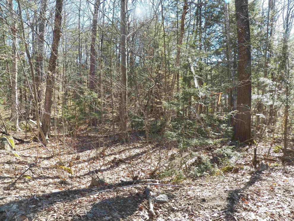 Unit for sale at 14-194 Seminole, Hillsborough, NH 03244
