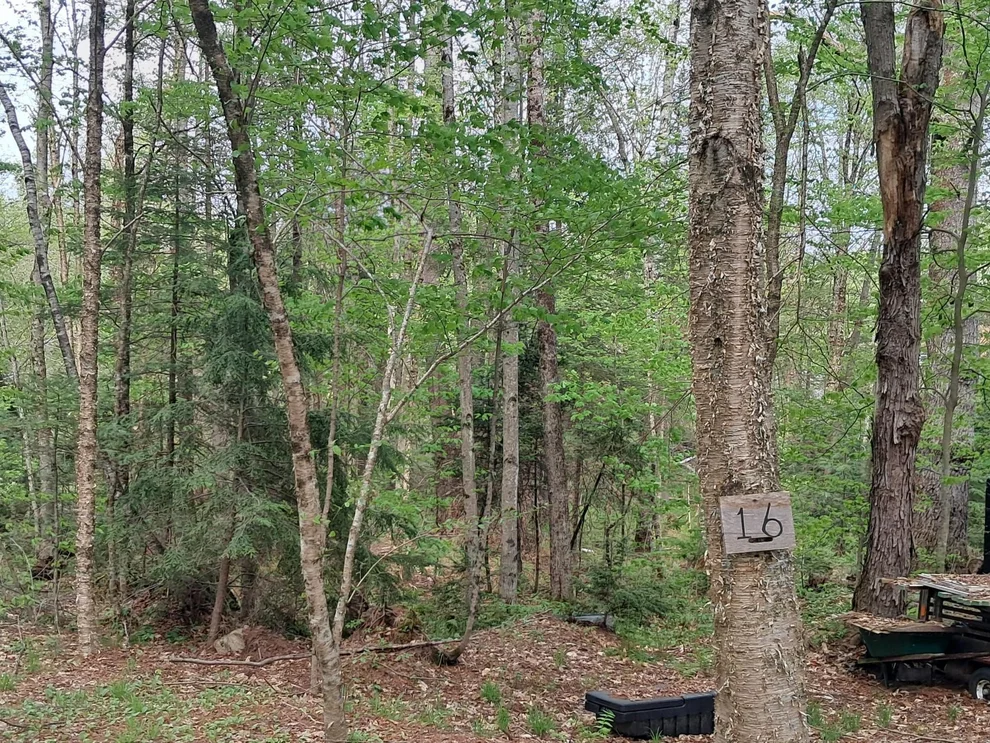 Unit for sale at 16 Aspen, Danbury, NH 03230