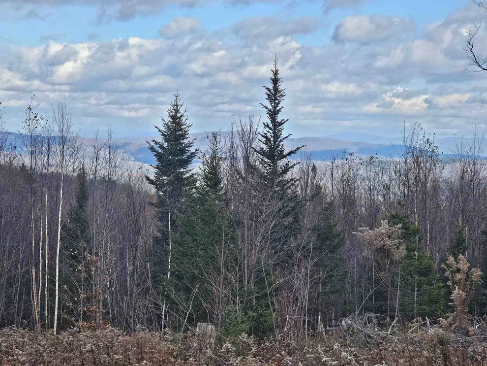 Unit for sale at 706 VT Route 100, Stratton, VT 05360
