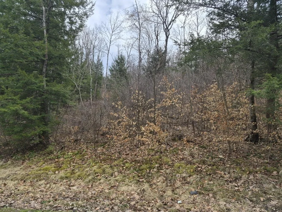 Unit for sale at Pond, Rockingham, VT 05346
