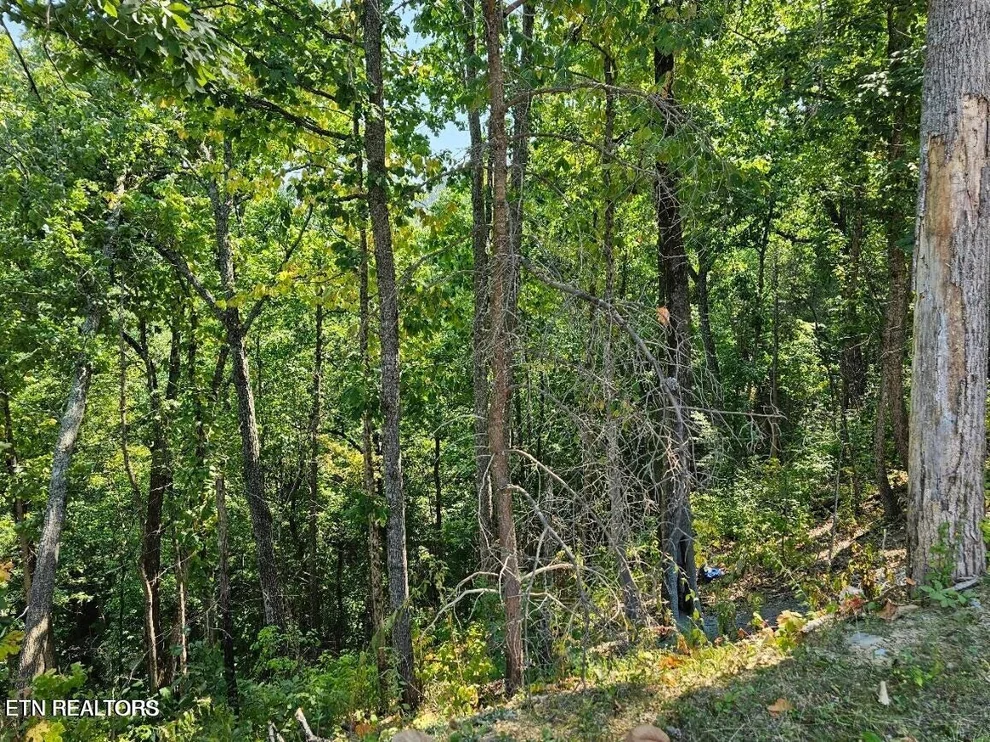 Unit for sale at Lot 13-AR Villa Ridge Place, Sevierville, TN 37862