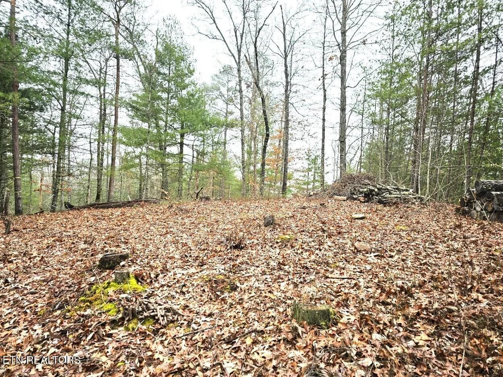 Unit for sale at 514 Percussion Court, Walland, TN 37886