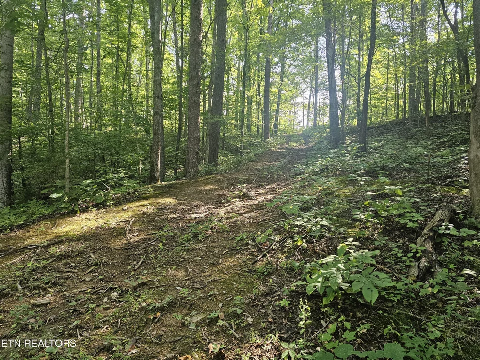Unit for sale at Lot 2 Franklin Way, Sevierville, TN 37876