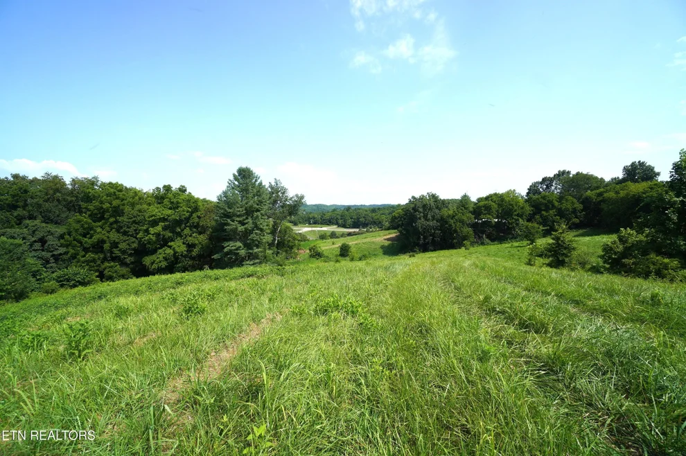 Unit for sale at 00 Old Greeneville Hwy, Parrottsville, TN 37843
