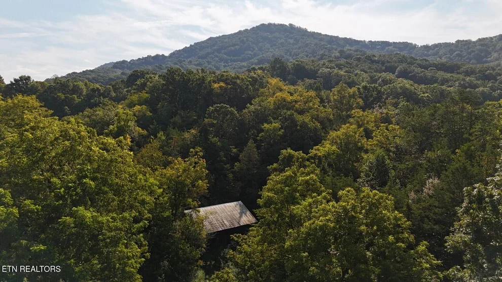 Unit for sale at 0 Redbud Circle, Luttrell, TN 37779