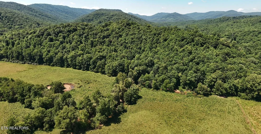Unit for sale at 0 Brimstone Rd, Robbins, TN 37852