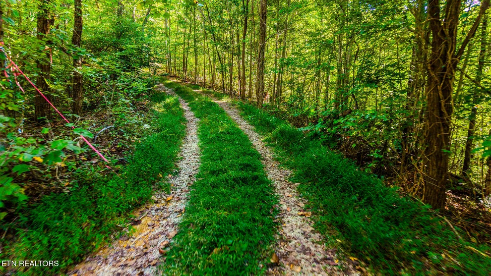 Unit for sale at 429 King Branch Rd, Sevierville, TN 37876