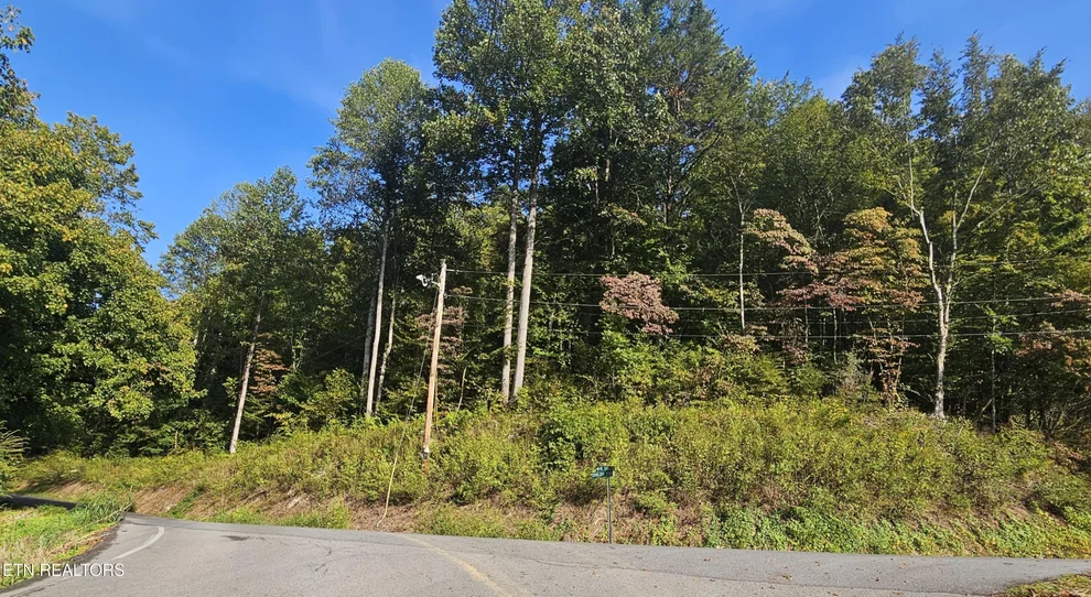 Unit for sale at 4.38 ac N Shiloh Rd, Seymour, TN 37865