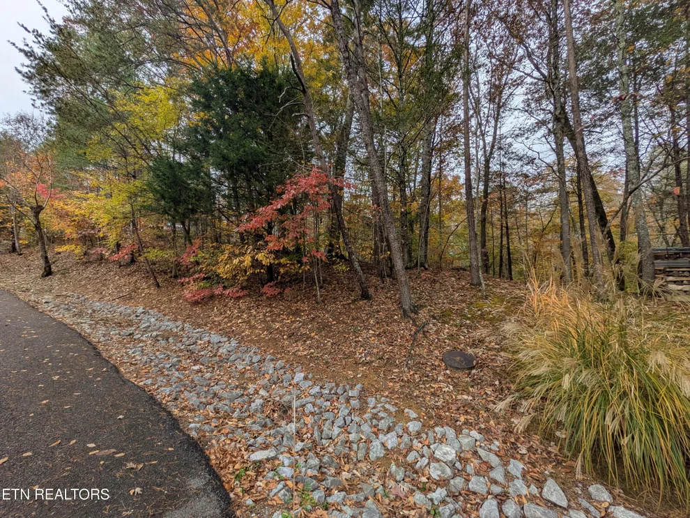 Unit for sale at 517 Clearwater Circle, Townsend, TN 37882