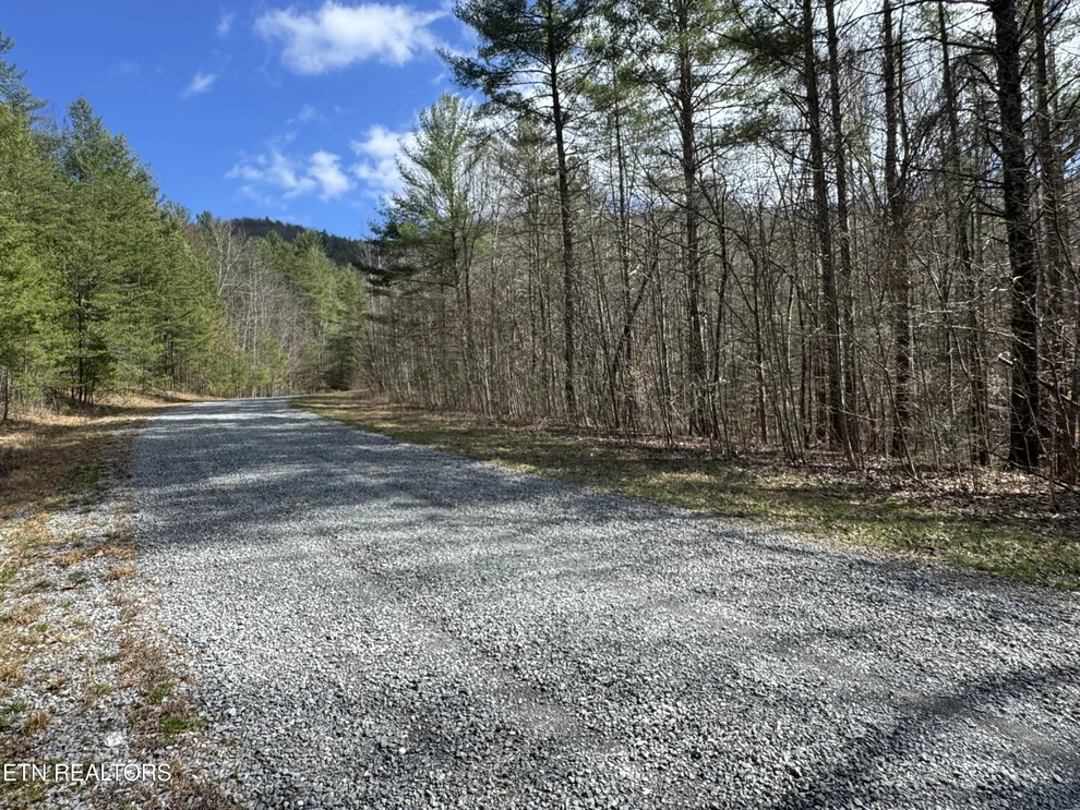 Unit for sale at Cougar Trail 4.54ac lot 15, Del Rio, TN 37727