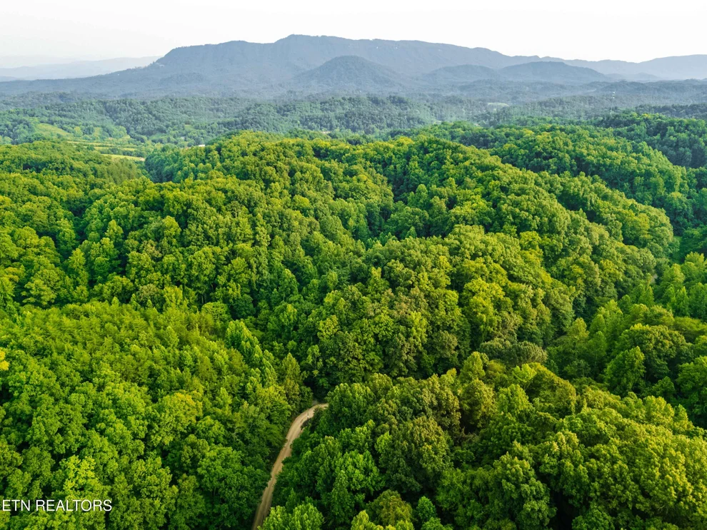 Unit for sale at 0 Long Branch Rd, Seymour, TN 37865