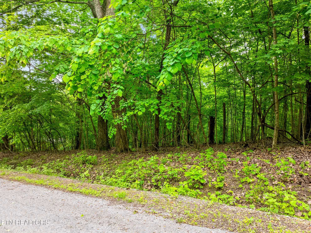Unit for sale at Running Deer Tr, Caryville, TN 37714