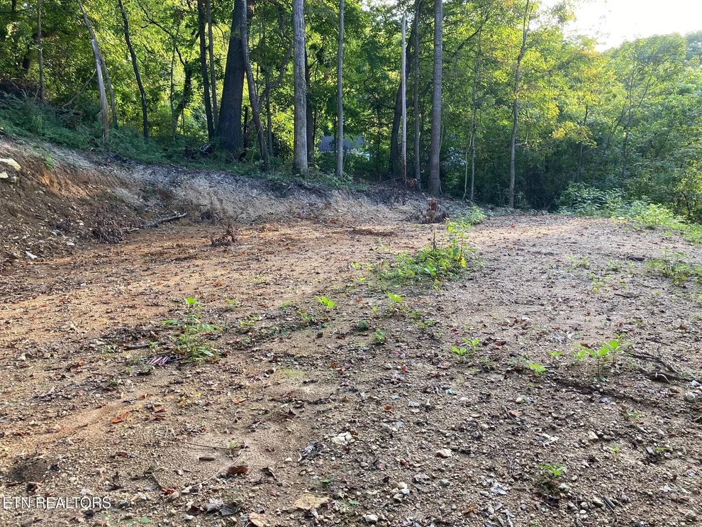 Unit for sale at 311 W Chestnut St, LaFollette, TN 37766