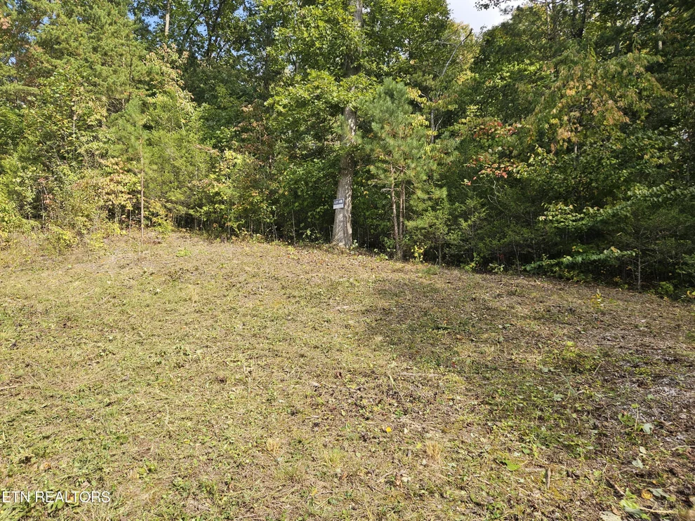 Unit for sale at Lot 17 Saddleridge Drive, Speedwell, TN 37870