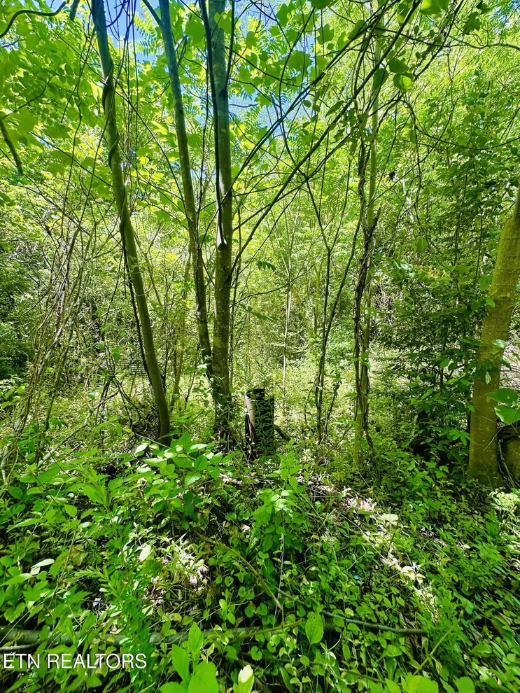 Unit for sale at Stoney Fork Rd, Caryville, TN 37714