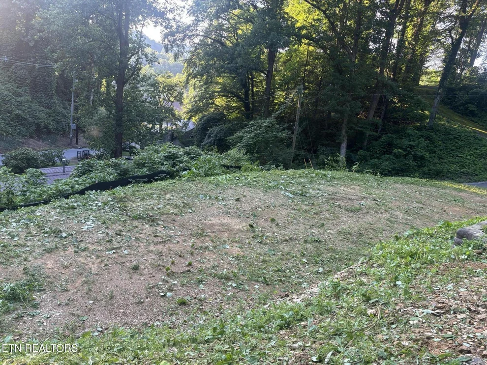 Unit for sale at 229 Silverbell Lane, Gatlinburg, TN 37738