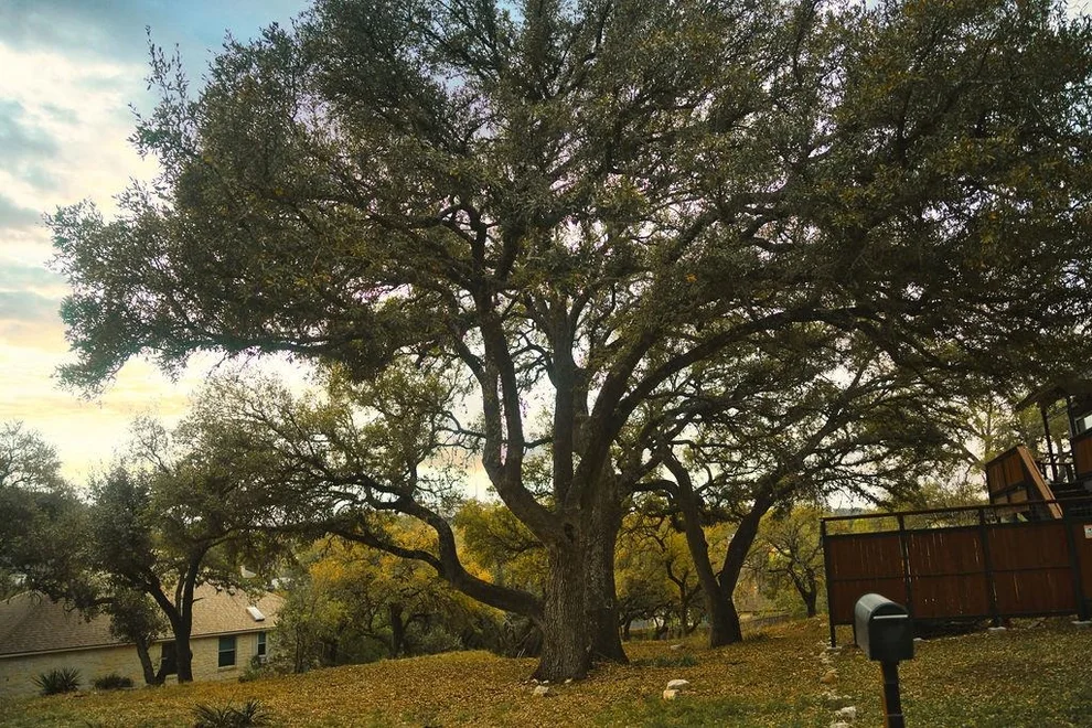 Unit for sale at 15505 Enid DR, Austin, TX 78734