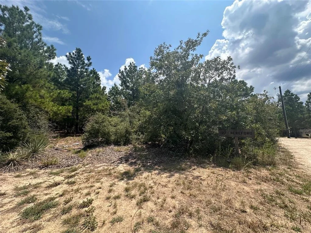 Unit for sale at LOT 42 Hereford LN, Bastrop, TX 78602