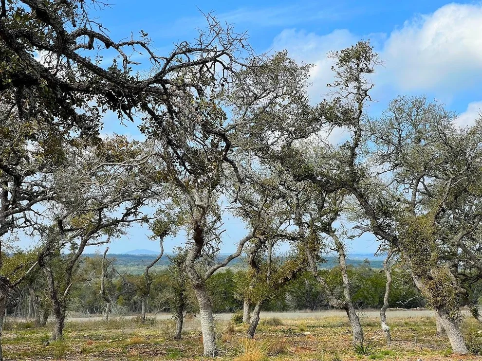 Unit for sale at TBD Windmill Ridge DR, Blanco, TX 78606