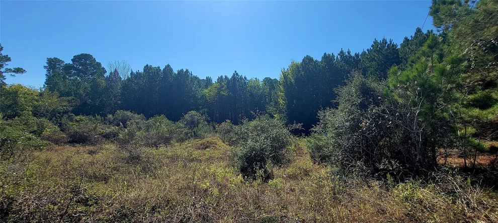Unit for sale at TBD Alele DR, Bastrop, TX 78602
