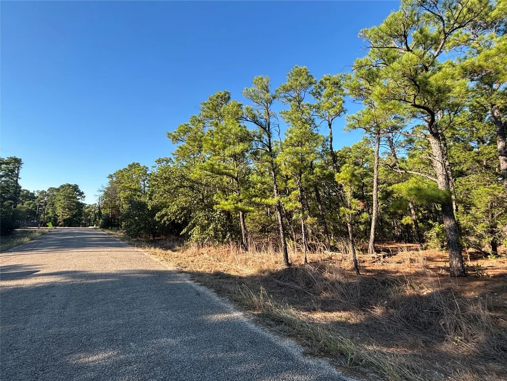 Unit for sale at TBD Pine Cone DR, Bastrop, TX 78602