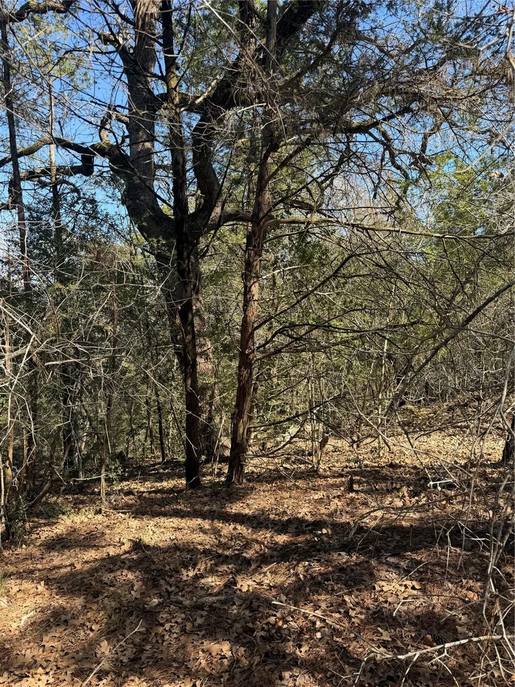 Unit for sale at Lot 321 Keneka LN, Bastrop, TX 78602