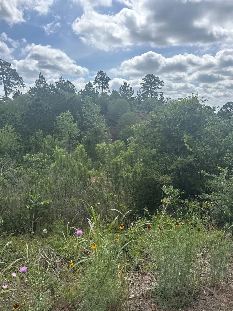 Unit for sale at Lot 798 Tahitian DR, Bastrop, TX 78602